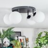 Chehalis Plafondlamp, Kogellampje Wit, 4-lichts