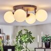 Chehalis Plafondlamp, Kogellampje Wit, 4-lichts