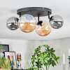 Chehalis Plafondlamp, Kogellampje Amber, Rookkleurig, 4-lichts