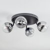 Chehalis Plafondlamp, Kogellampje Duidelijk, Rookkleurig, 4-lichts
