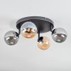 Chehalis Plafondlamp, Kogellampje Amber, Rookkleurig, 4-lichts