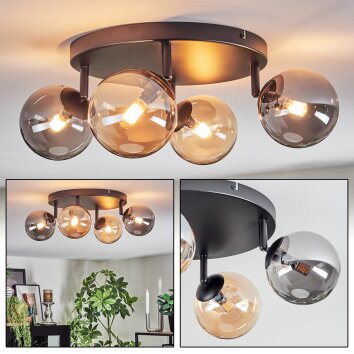 Chehalis Plafondlamp, Kogellampje Amber, Rookkleurig, 4-lichts Chehalis Plafondlamp, Kogellampje Amber, Rookkleurig, 4-lichts