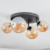 Chehalis Plafondlamp, Kogellampje Amber, 4-lichts