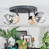 Chehalis Plafondlamp, Kogellampje Amber, Duidelijk, Rookkleurig, 4-lichts
