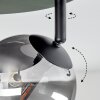 Chehalis Plafondlamp, Kogellampje Amber, Duidelijk, Rookkleurig, 4-lichts