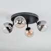 Chehalis Plafondlamp, Kogellampje Amber, Duidelijk, Rookkleurig, 4-lichts