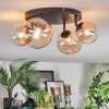 Chehalis Plafondlamp, Kogellampje Amber, Duidelijk, 4-lichts
