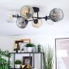 Ripoll Plafondlamp, Kogellampje Amber, Duidelijk, Rookkleurig, 6-lichts