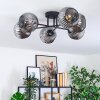 Ripoll Plafondlamp, Kogellampje Rookkleurig, 6-lichts