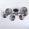 Ripoll Plafondlamp, Kogellampje Rookkleurig, 6-lichts