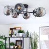 Ripoll Plafondlamp, Kogellampje Chroom, Duidelijk, Rookkleurig, 6-lichts