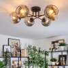 Ripoll Plafondlamp, Kogellampje Chroom, Duidelijk, Rookkleurig, 6-lichts
