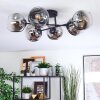 Ripoll Plafondlamp, Kogellampje Chroom, Duidelijk, Rookkleurig, 6-lichts