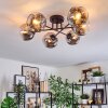 Ripoll Plafondlamp, Kogellampje Chroom, Duidelijk, Rookkleurig, 6-lichts