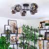 Ripoll Plafondlamp, Kogellampje Chroom, Duidelijk, Rookkleurig, 6-lichts