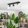 Fallhagen Plafondlamp, Plafondspot Zwart, 3-lichts