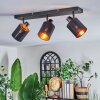 Fallhagen Plafondlamp, Plafondspot Zwart, 3-lichts