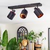 Fallhagen Plafondlamp, Plafondspot Zwart, 3-lichts