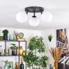 Gastor Plafondlamp, Kogellampje Wit, 3-lichts