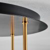 Koyoto Plafondlamp, Kogellampje Messing, Zwart, 5-lichts
