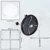Gastor Plafondlamp, Kogellampje Messing, Zwart, 5-lichts
