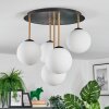 Gastor Plafondlamp, Kogellampje Messing, Zwart, 5-lichts