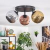 Ripoll Plafondlamp, Kogellampje Chroom, Goud, Koperkleurig, Rookkleurig, 3-lichts