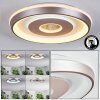 Dakon Plafondlamp LED Champagne, Wit, 1-licht