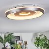 Dakon Plafondlamp LED Champagne, Wit, 1-licht