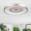 Dakon Plafondlamp LED Champagne, Wit, 1-licht