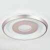 Dakon Plafondlamp LED Champagne, Wit, 1-licht