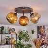 Ripoll Plafondlamp, Kogellampje Goud, Koperkleurig, Rookkleurig, 3-lichts
