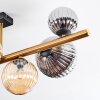 Chehalis Plafondlamp, Kogellampje Goud, Zwart, 8-lichts