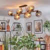 Koyoto Plafondlamp, Kogellampje Goud, Zwart, 10-lichts