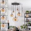 Ripoll Hanglamp, Kogellampje, Hanglamp Amber, Duidelijk, 5-lichts