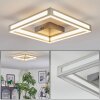 Danor Plafondlamp LED Nikkel mat, 1-licht