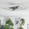 Danor Plafondlamp LED Nikkel mat, 1-licht
