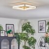 Danor Plafondlamp LED Nikkel mat, 1-licht