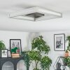 Danor Plafondlamp LED Nikkel mat, 1-licht