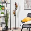 Koyoto Kogellampje, Staande lamp Chroom, Goud, Duidelijk, Koperkleurig, Rookkleurig, 6-lichts