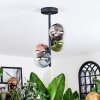 Chehalis Plafondlamp, Kogellampje 27 cm Blauw, Chroom, Groen, Duidelijk, Koperkleurig, Rookkleurig, 4-lichts
