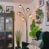 Koyoto Kogellampje, Staande lamp Amber, Duidelijk, Rookkleurig, 5-lichts