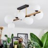 Chehalis Plafondlamp, Kogellampje Goud, Zwart, 8-lichts
