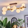 Chehalis Plafondlamp, Kogellampje Goud, Zwart, 8-lichts