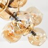 Ripoll Plafondlamp, Kogellampje Goud, Zwart, 10-lichts