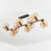 Ripoll Plafondlamp, Kogellampje Goud, Zwart, 10-lichts