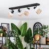 Fallhagen Plafondlamp, Plafondspot Zwart, 4-lichts