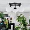Chehalis Plafondlamp, Kogellampje 44 cm Wit, 3-lichts
