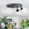 Chehalis Plafondlamp, Kogellampje Wit, 4-lichts