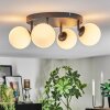 Chehalis Plafondlamp, Kogellampje Wit, 4-lichts